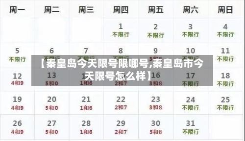 【秦皇岛今天限号限哪号,秦皇岛市今天限号怎么样】