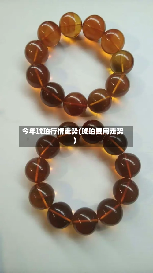 今年琥珀行情走势(琥珀费用走势)