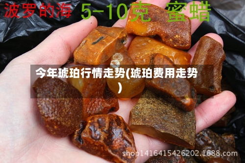今年琥珀行情走势(琥珀费用走势)