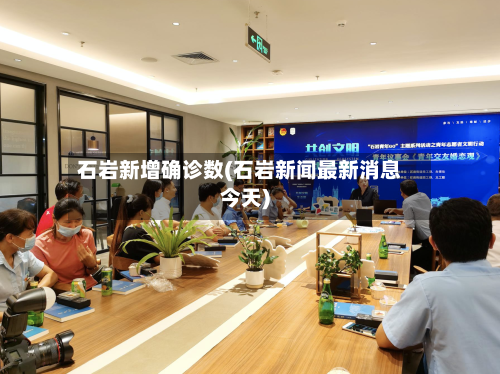 石岩新增确诊数(石岩新闻最新消息今天)