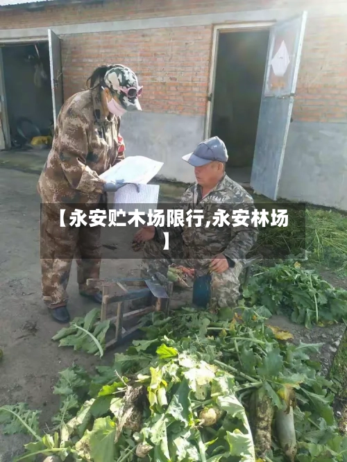 【永安贮木场限行,永安林场】