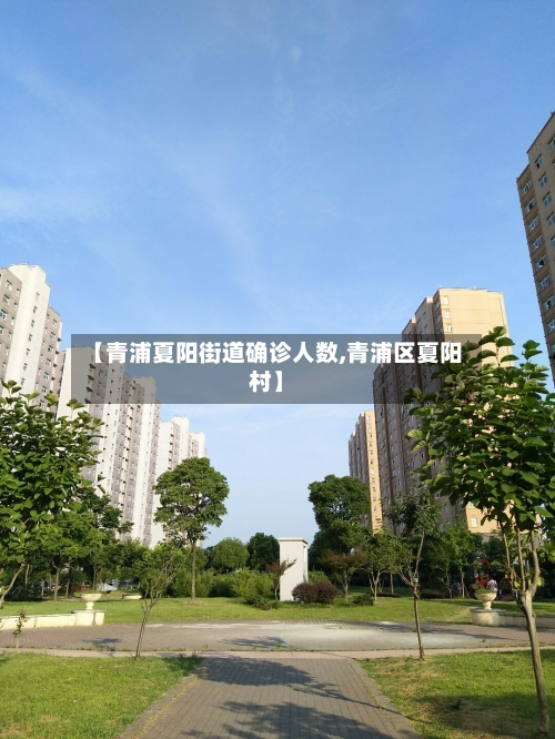 【青浦夏阳街道确诊人数,青浦区夏阳村】