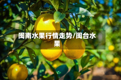 闽南水果行情走势/闽台水果