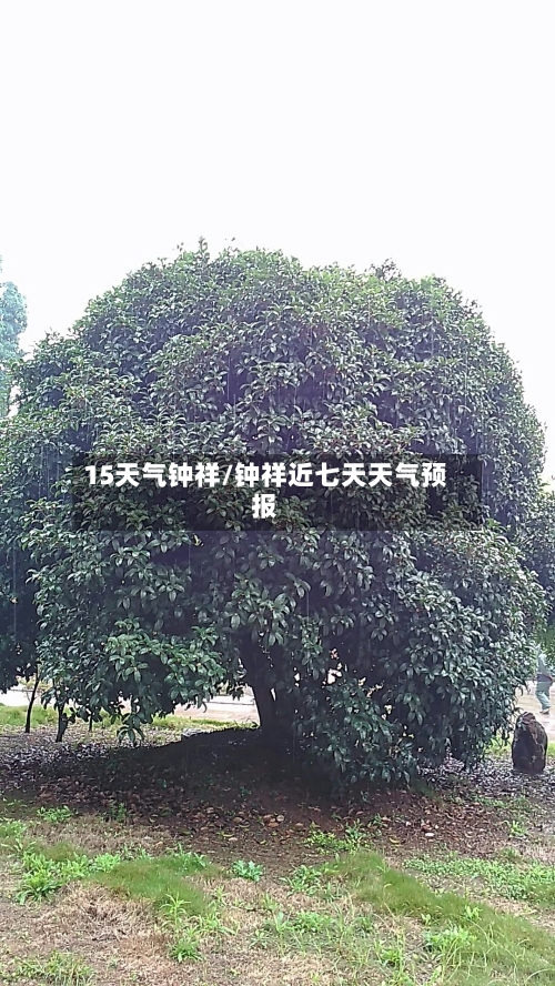 15天气钟祥/钟祥近七天天气预报
