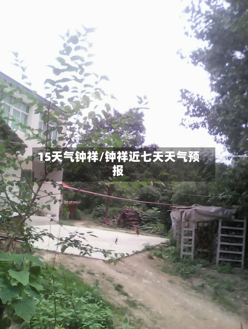 15天气钟祥/钟祥近七天天气预报