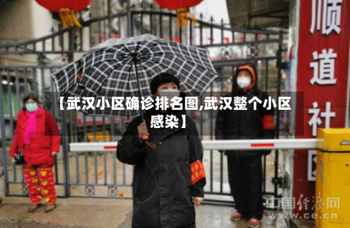 【武汉小区确诊排名图,武汉整个小区感染】