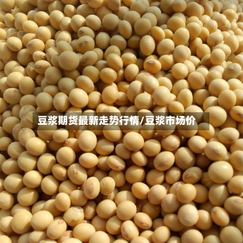 豆浆期货最新走势行情/豆浆市场价