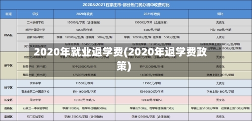 2020年就业退学费(2020年退学费政策)