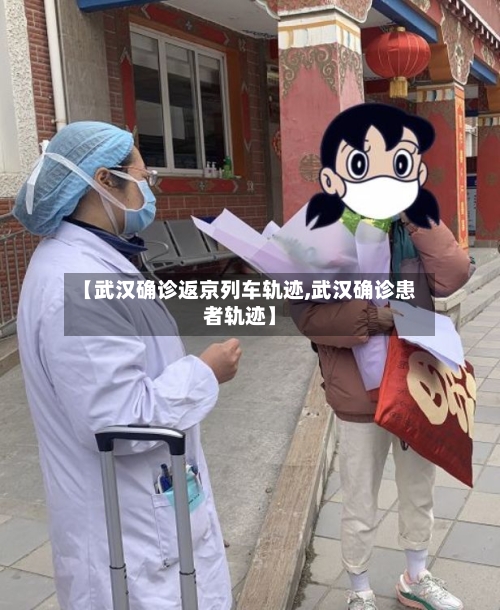 【武汉确诊返京列车轨迹,武汉确诊患者轨迹】