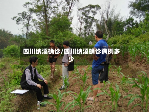 四川纳溪确诊/四川纳溪确诊病例多少