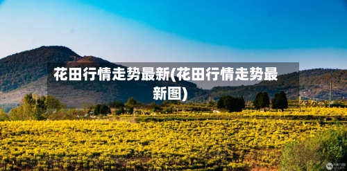 花田行情走势最新(花田行情走势最新图)