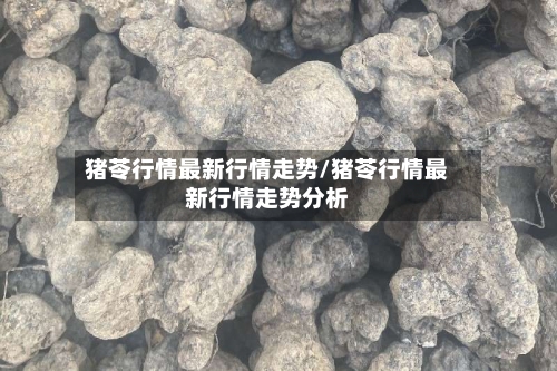 猪苓行情最新行情走势/猪苓行情最新行情走势分析