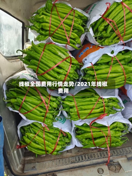 线椒全国费用行情走势/2021年线椒费用