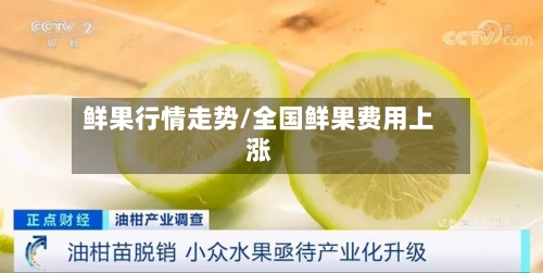 鲜果行情走势/全国鲜果费用上涨
