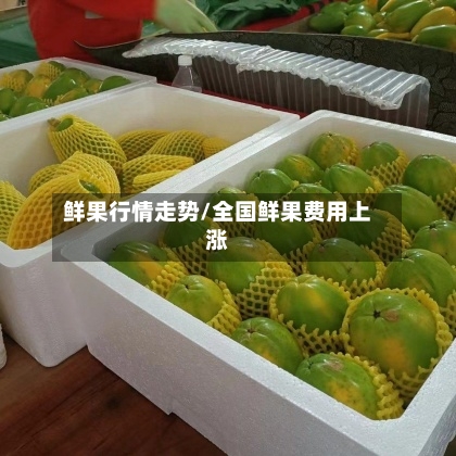 鲜果行情走势/全国鲜果费用上涨