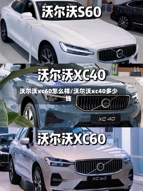 沃尔沃xc60怎么样/沃尔沃xc40多少钱