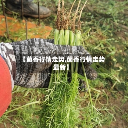 【茴香行情走势,茴香行情走势最新】