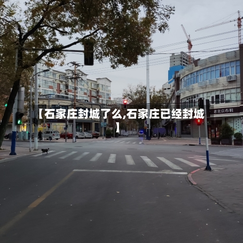 【石家庄封城了么,石家庄已经封城】