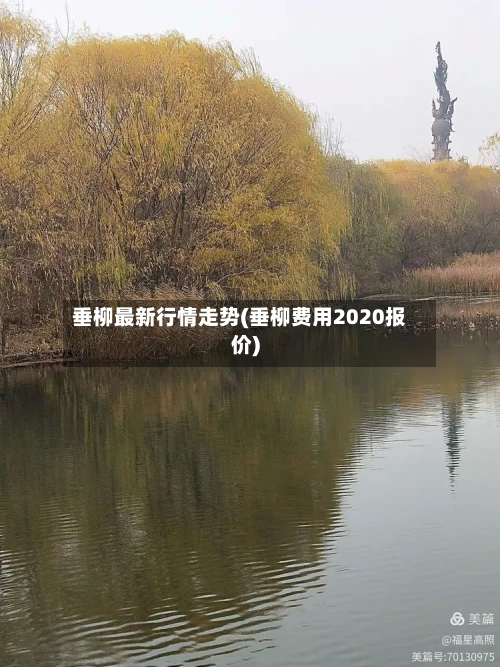 垂柳最新行情走势(垂柳费用2020报价)