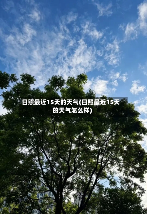 日照最近15天的天气(日照最近15天的天气怎么样)