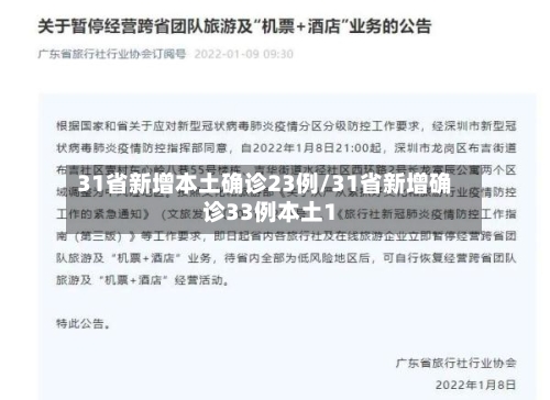 31省新增本土确诊23例/31省新增确诊33例本土1