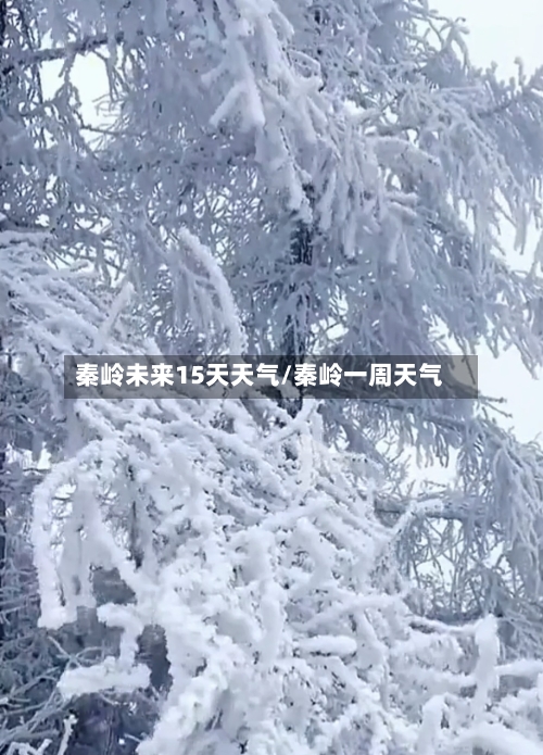 秦岭未来15天天气/秦岭一周天气