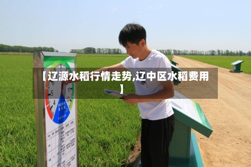 【辽源水稻行情走势,辽中区水稻费用】