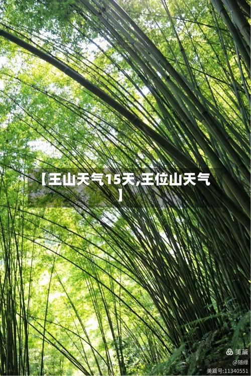 【王山天气15天,王位山天气】