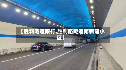 【胜利隧道限行,胜利路隧道南新建小区】