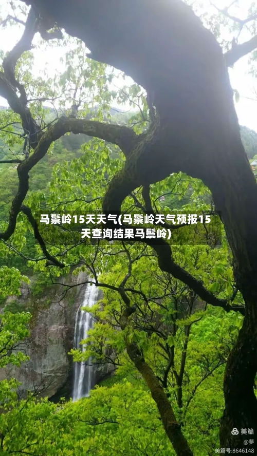 马鬃岭15天天气(马鬃岭天气预报15天查询结果马鬃岭)