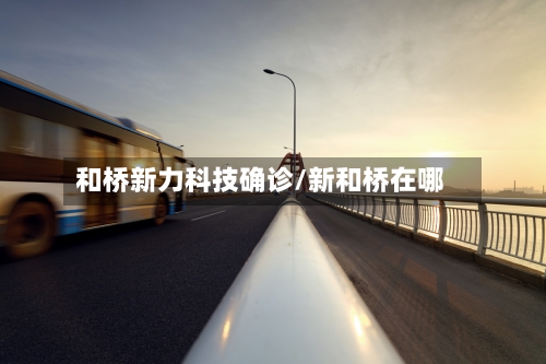 和桥新力科技确诊/新和桥在哪