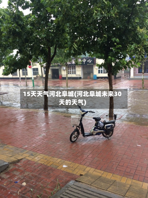 15天天气河北阜城(河北阜城未来30天的天气)