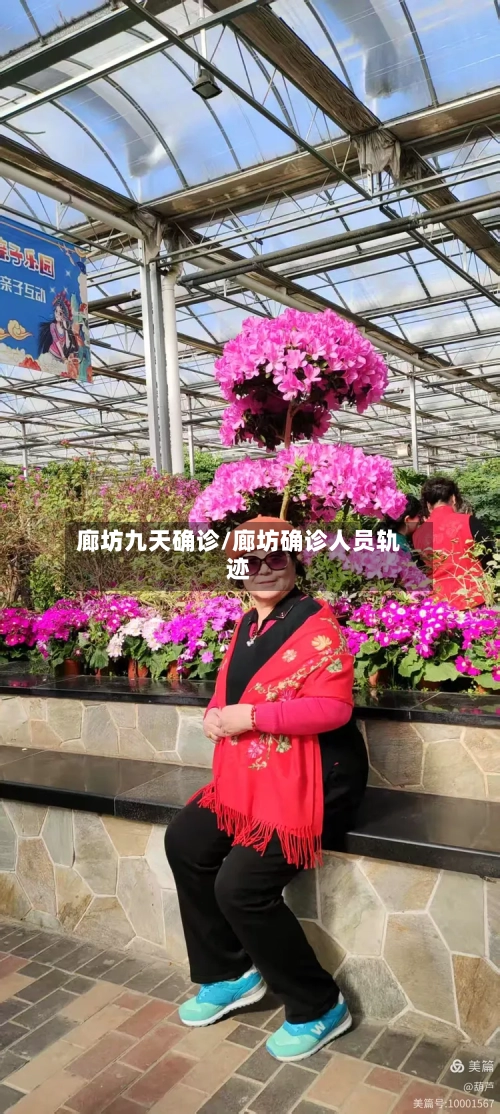 廊坊九天确诊/廊坊确诊人员轨迹