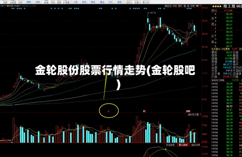 金轮股份股票行情走势(金轮股吧)