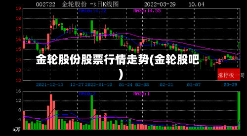 金轮股份股票行情走势(金轮股吧)