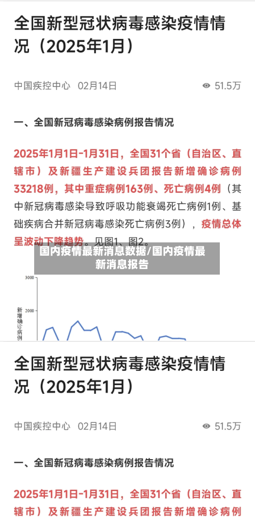国内疫情最新消息数据/国内疫情最新消息报告