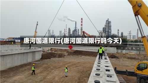 唐河国道限行(唐河国道限行吗今天)