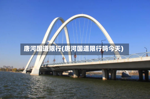 唐河国道限行(唐河国道限行吗今天)