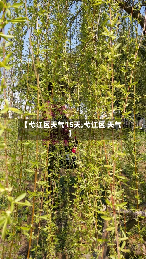 【弋江区天气15天,弋江区 天气】