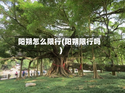 阳朔怎么限行(阳朔限行吗)