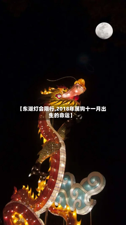 【东湖灯会限行,2018年属狗十一月出生的命运】
