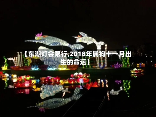 【东湖灯会限行,2018年属狗十一月出生的命运】