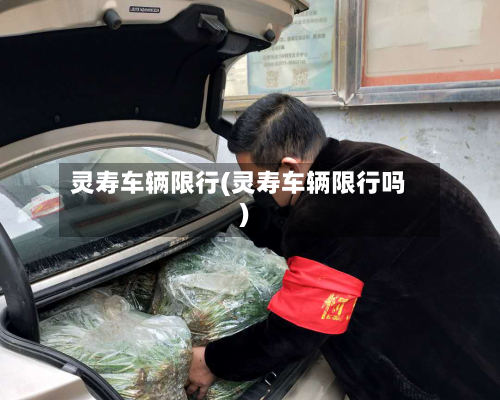 灵寿车辆限行(灵寿车辆限行吗)