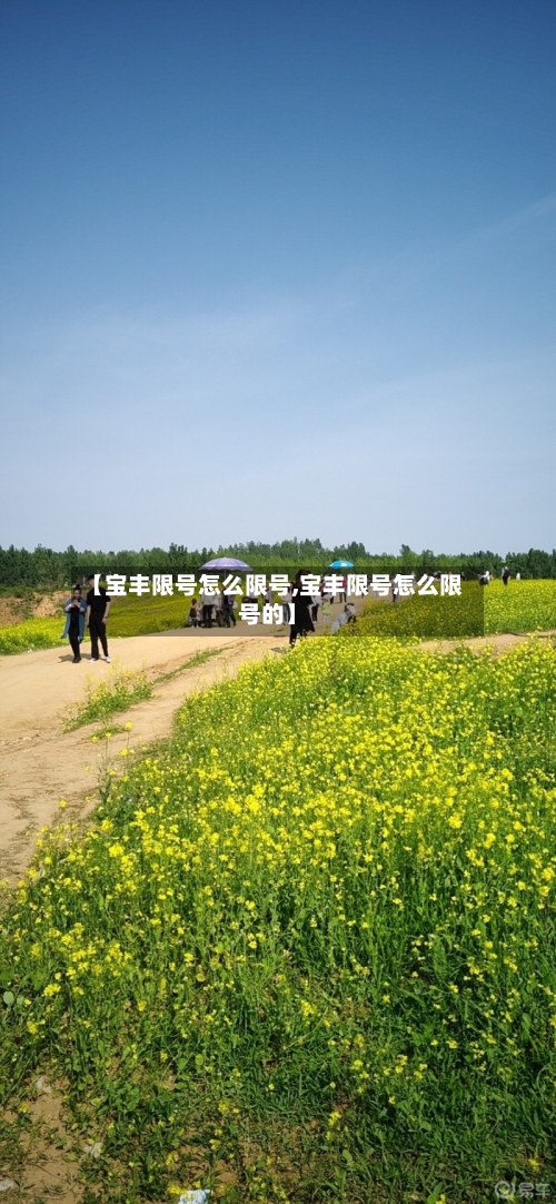 【宝丰限号怎么限号,宝丰限号怎么限号的】