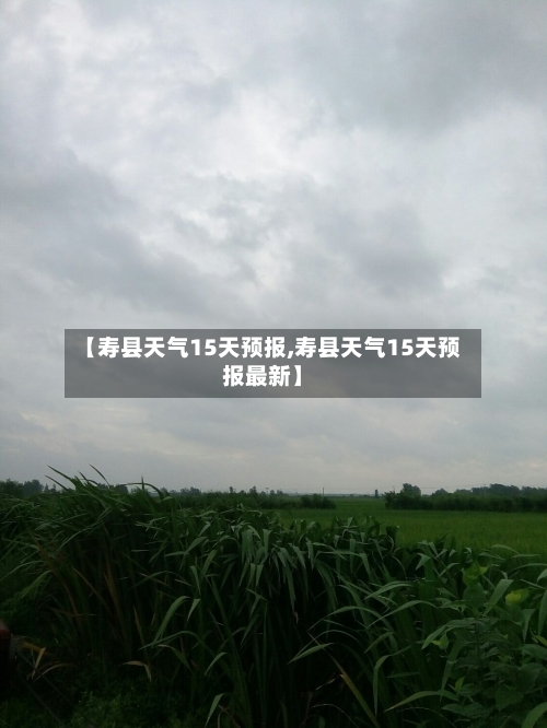 【寿县天气15天预报,寿县天气15天预报最新】