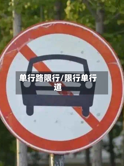 单行路限行/限行单行道