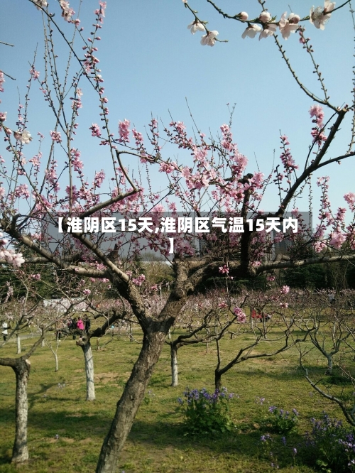 【淮阴区15天,淮阴区气温15天内】
