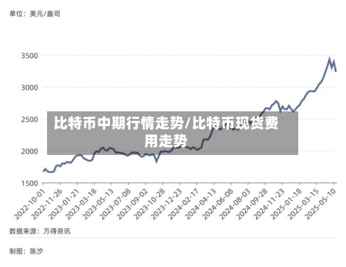 比特币中期行情走势/比特币现货费用走势