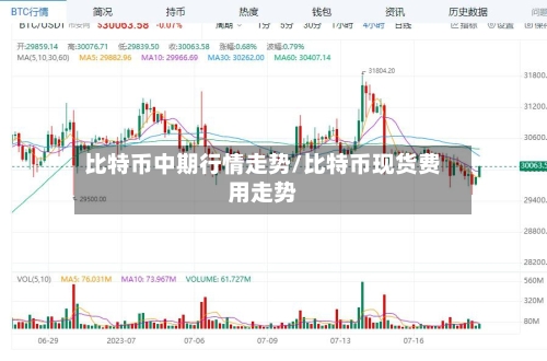 比特币中期行情走势/比特币现货费用走势