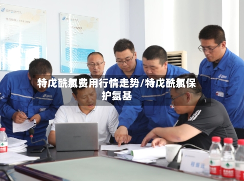 特戊酰氯费用行情走势/特戊酰氯保护氨基